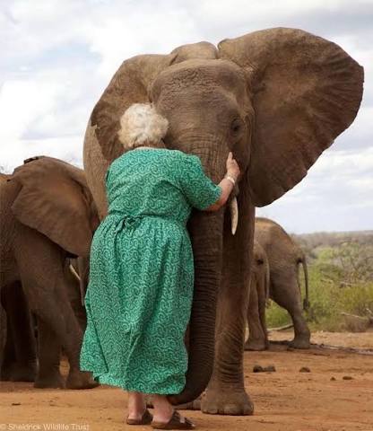 Daphne Sheldrick Visit, Kenya
